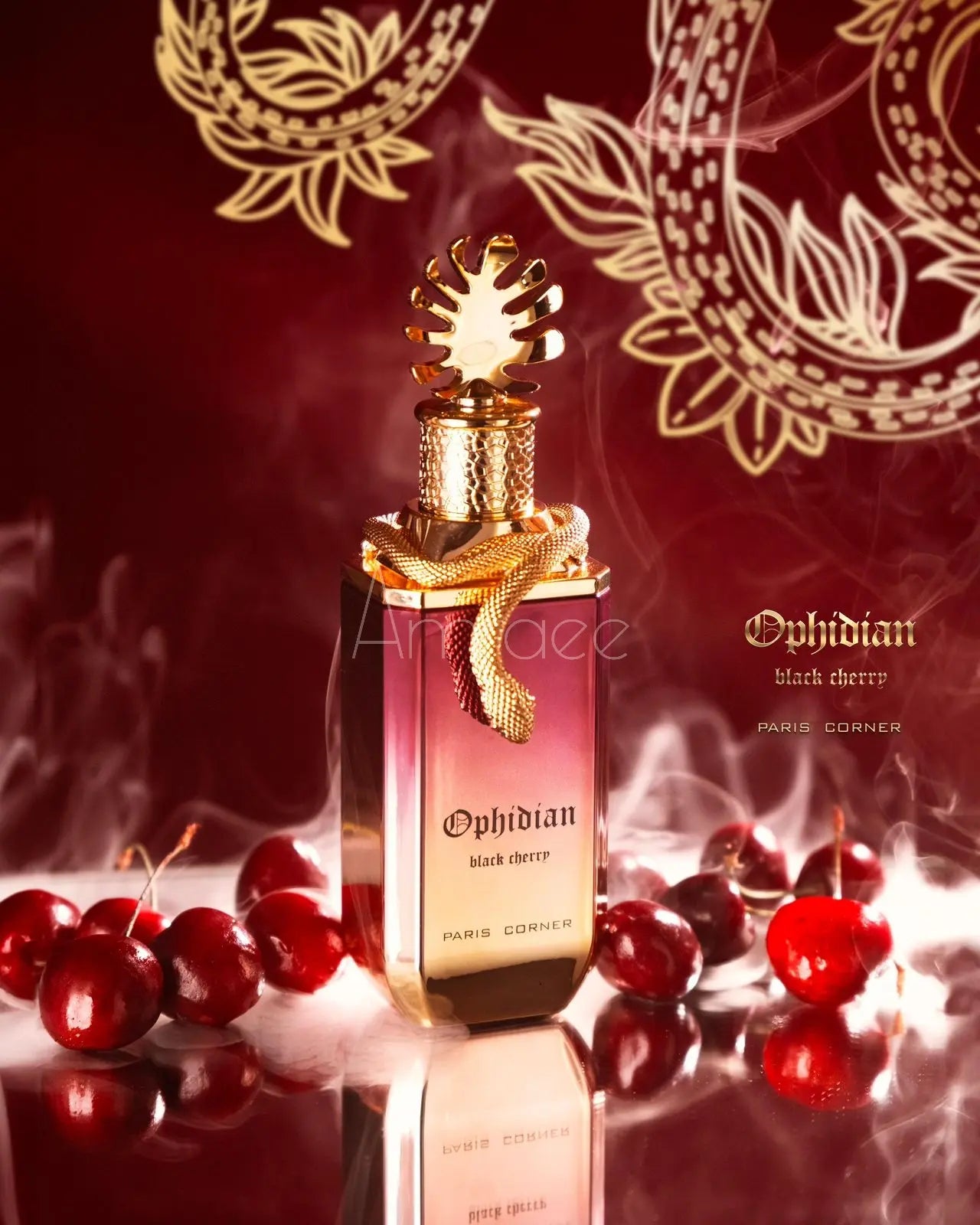 Parfum black cherry -amraee.com